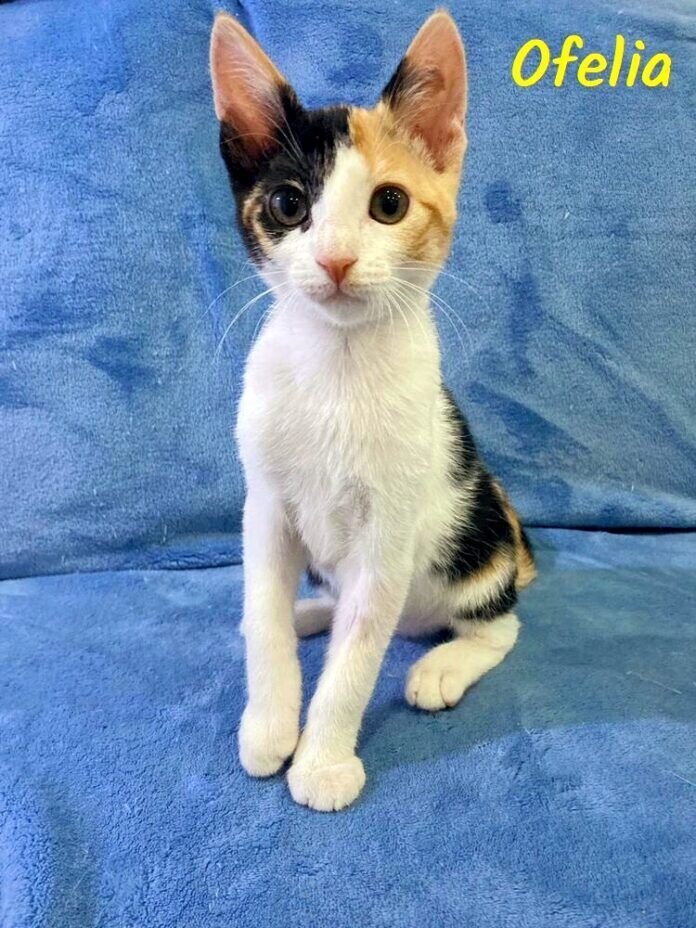 WhatsApp Image 2021-07-05 Ofelia