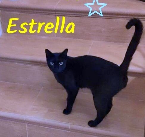WhatsApp Image 2021-07-08 Estrella (1)