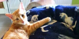 Ein Pärchen zum Verlieben!