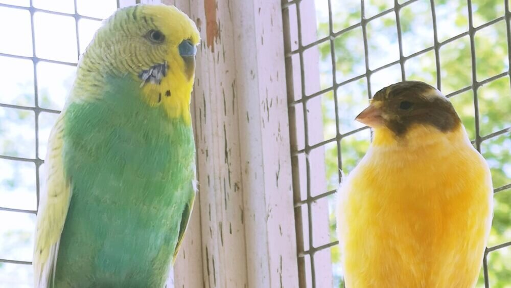 698b2336-a286-48f2-8e59-2949f19ff932_Fotor