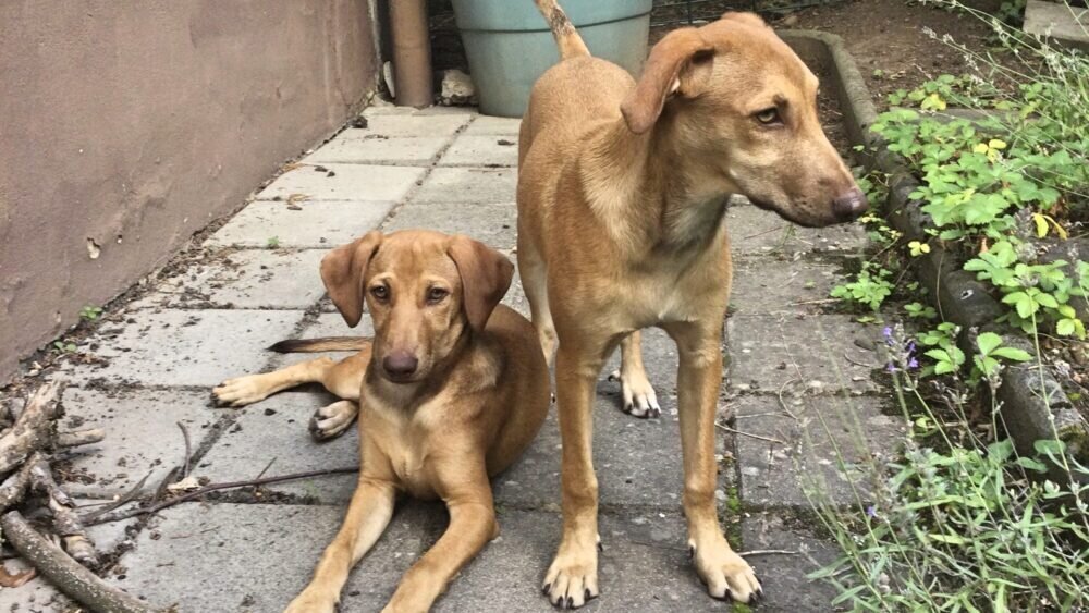 IMG_5880-scaled_Fotor