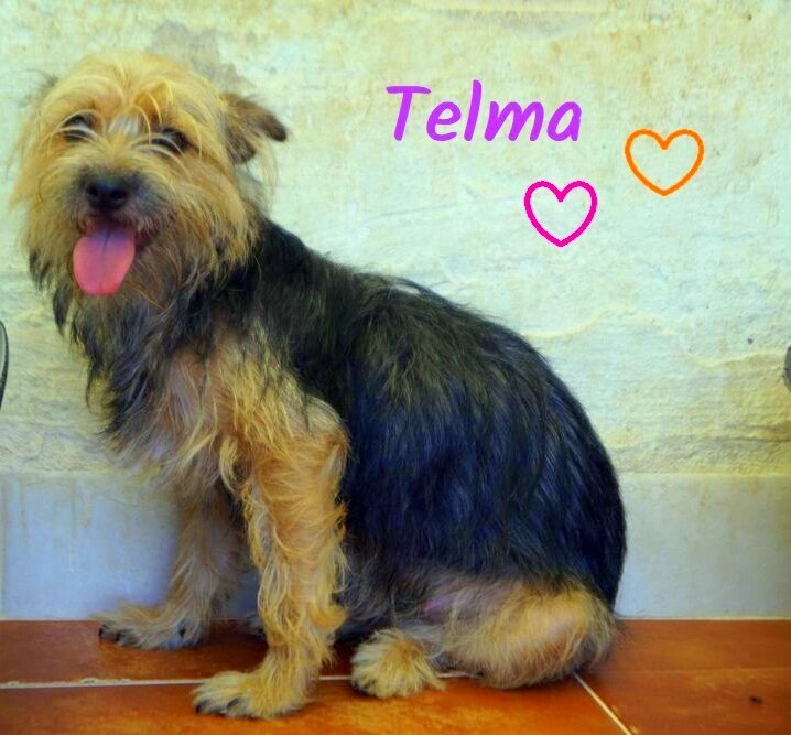 P210813_01 TELMA H0,10 ( CESION) (2)