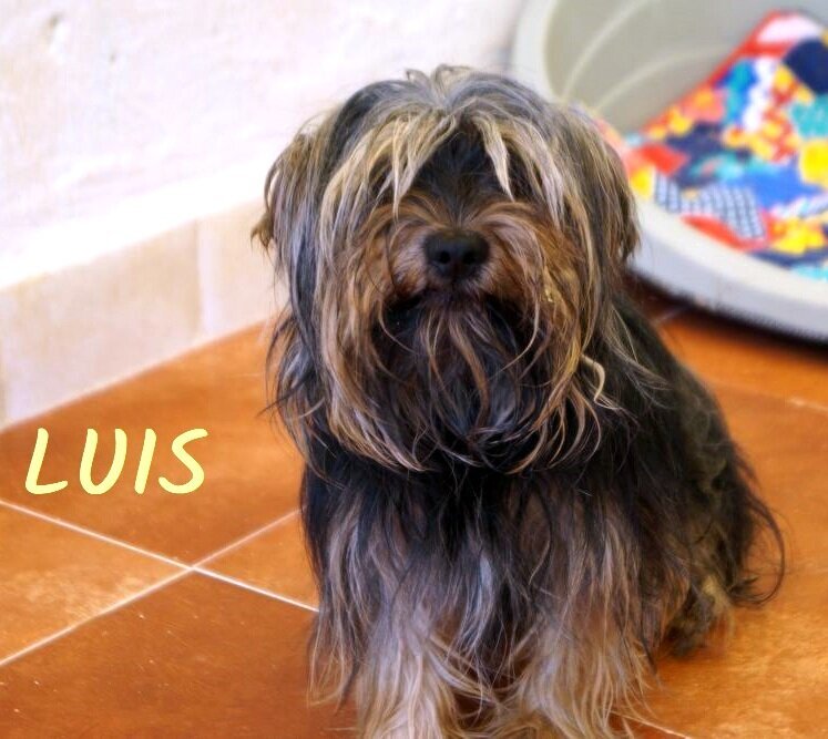 P210813_02 LUIS M3 ( CESION) (2)