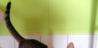 Ich warte schon so lange!