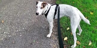 ❗ ❗ DRINGEND ❗ ❗