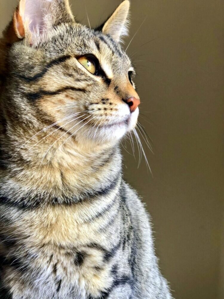 5745C7CD-3613-4ED7-A9F9-F951A9C055E2