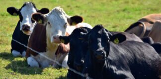 Frühherbstliche Landschaft in unserer Region.