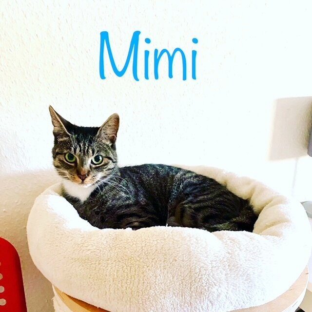 F72CD428-59FC-43F2-8231-E90AD8D6DB4D