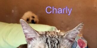 Die ungleichen Brüder!