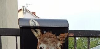 In diesen Briefkasten kommen wohl nur Möhrchen