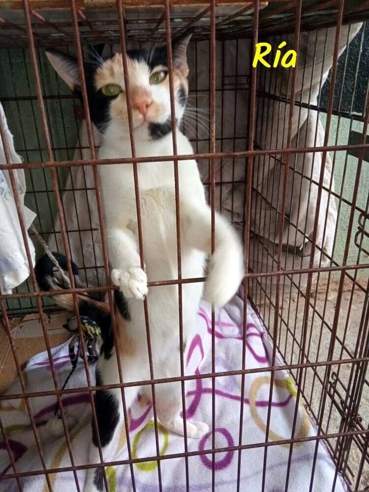 IMG_20210924_123854-1