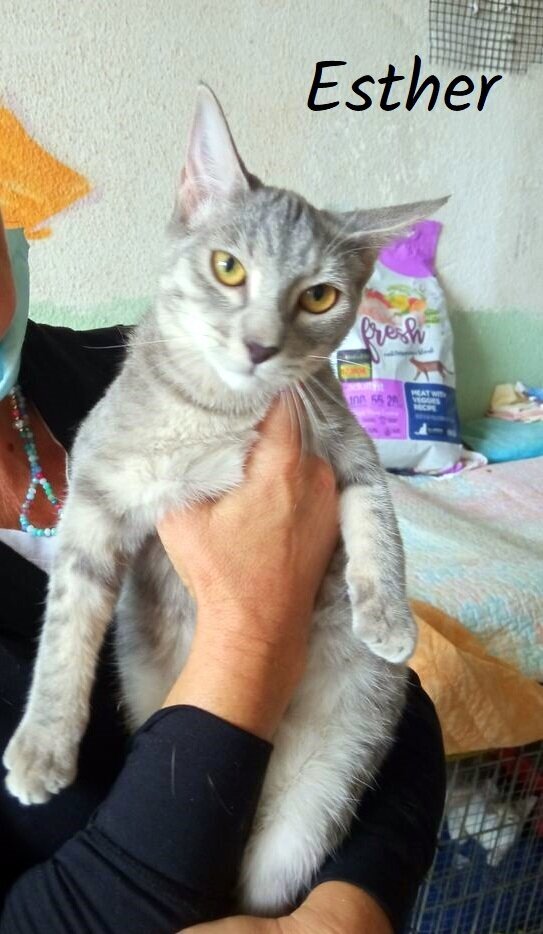 IMG_20210924_124236-1