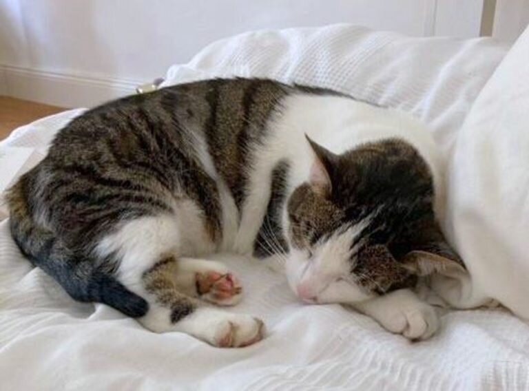 Internet_20210921_090949_3