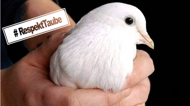 Screenshot 2021-09-17 15_Fotor