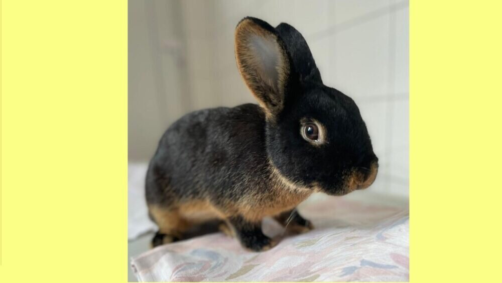 Vorlage 16 9-Eraser_InPixio grün-Eraser_InPixio