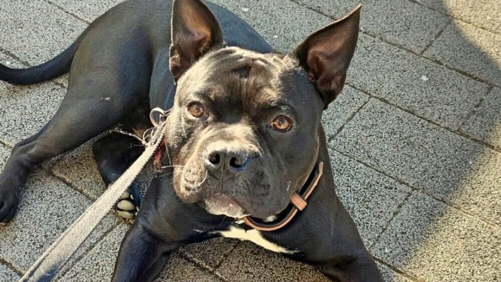 b69fb912-3b5c-454b-94c8-2fc7eb0fcbcc_Fotor