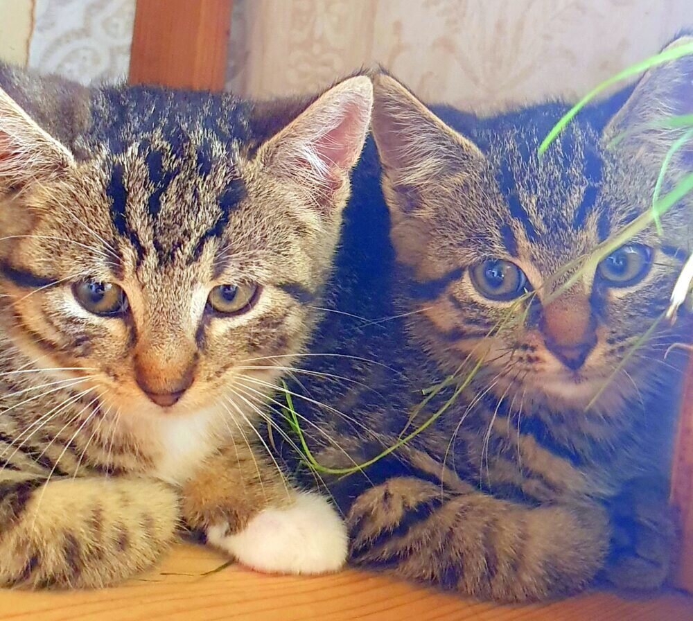 20210917_134753 - Kopie