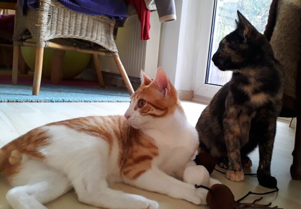 20211004_170419 - Kopie