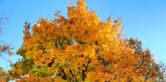 Was für ein schöner Tag,Sonntag war ” sonnig”