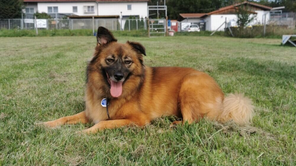 6e4f8386-591d-4770-b43a-a3fe9b55a26e