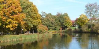 Eine wunderschöne Jahreszeit, der Herbst