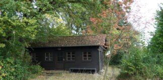 Der Klimawandel und das große Artensterben – NABU fordert eine neue Kultur des Miteinander