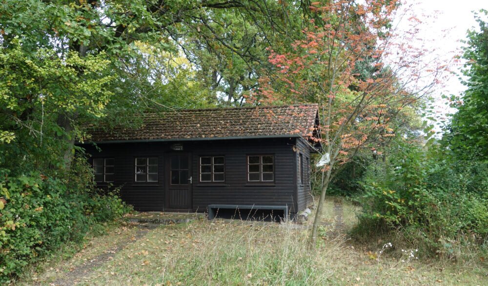 DSC02740_bearbeitet-1