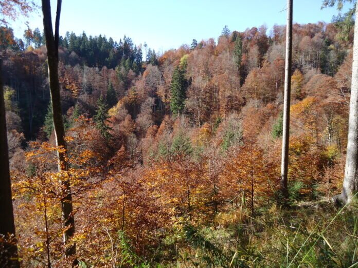 DSC04677 Ausführlicherer Text am Ende der Bildreihe