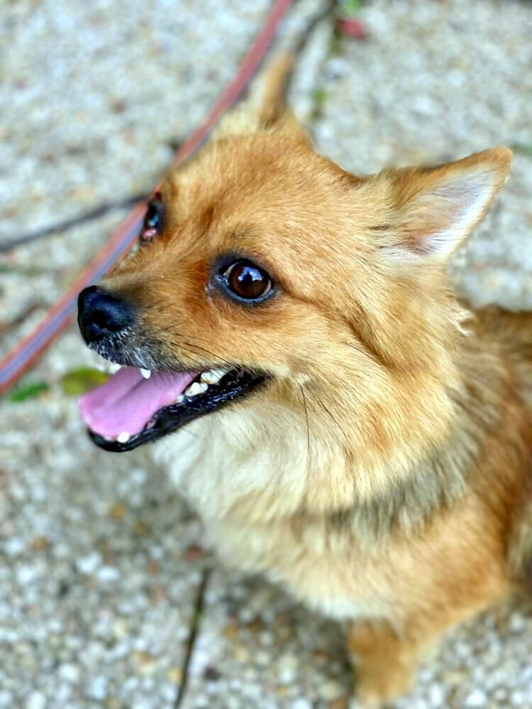 IMG-20211008-WA0014-3