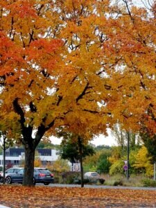 was für eine Farbenpracht
