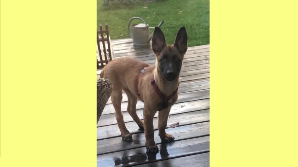 Vorlage 16 9-Eraser_InPixio grün-Eraser-2_InPixio