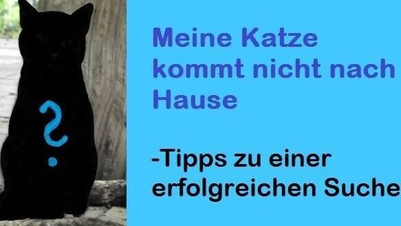 10409056_968317426531474_3699443795576142238_n