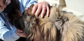 Ein fröhliches Wiedersehen mit Claudia Ludwig!