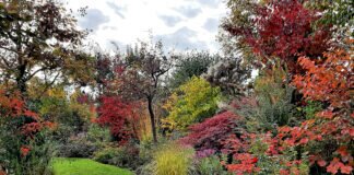 Parkgarten am See in Trais-Horloff öffnete seine Pforten. Ein Erlebnis sollte auf uns zu kommen.