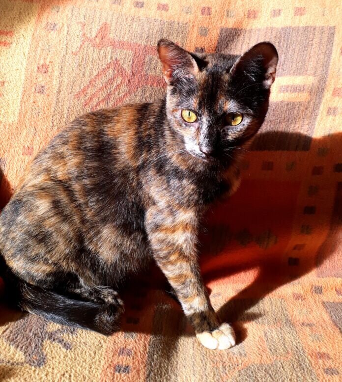 20211029_143401_resized