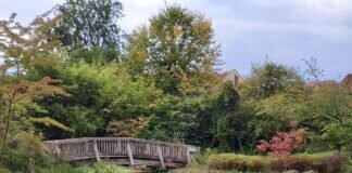 Spaziergang im Kurpark von Mölln ( Tilleulenspiegel Stadt)