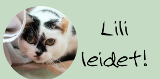 Lili gibt sich langsam selbst auf! – VERMITTELT –