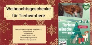 Weihnachtsgeschenke für Tierheimtiere
