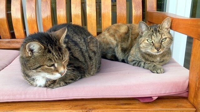 BB20FECD-4F18-4534-BF0C-14E76433FB4F