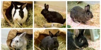 “Im Sechserpack”