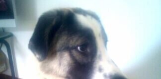 Dringender Notfall! Lösung gefunden!