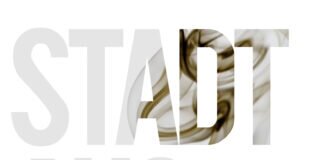 Buchtipp: Stadt aus Rauch – Svealena Kutschke