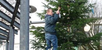 Nordstadt: Tannenzauber läutet Adventszeit ein