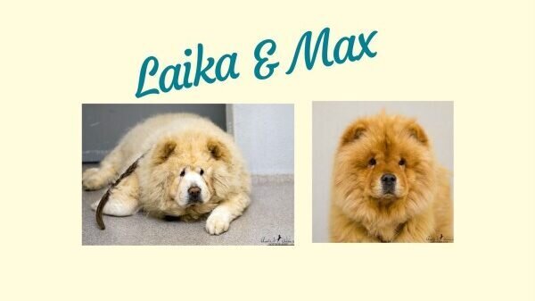 _kI5uzmuGZVlRmcX2kj_2FhLldSJh1iU