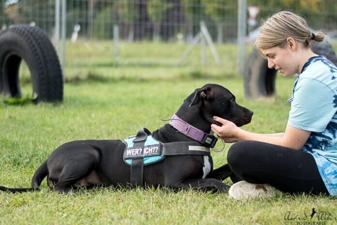 249368935_4889753227721188_6830265566289970163_n