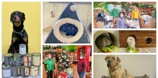 ♡ ♡ ♡ Vielen, vielen Dank ♡ ♡ ♡