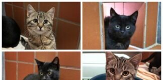 Unsere “Biene-Maya-Gruppe”