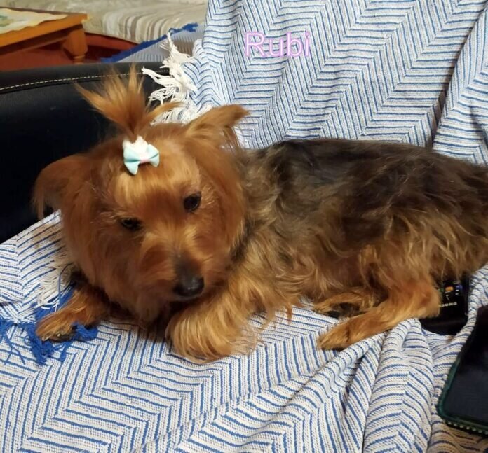 WhatsApp Image 2021-12-26 at 19.03.50-1