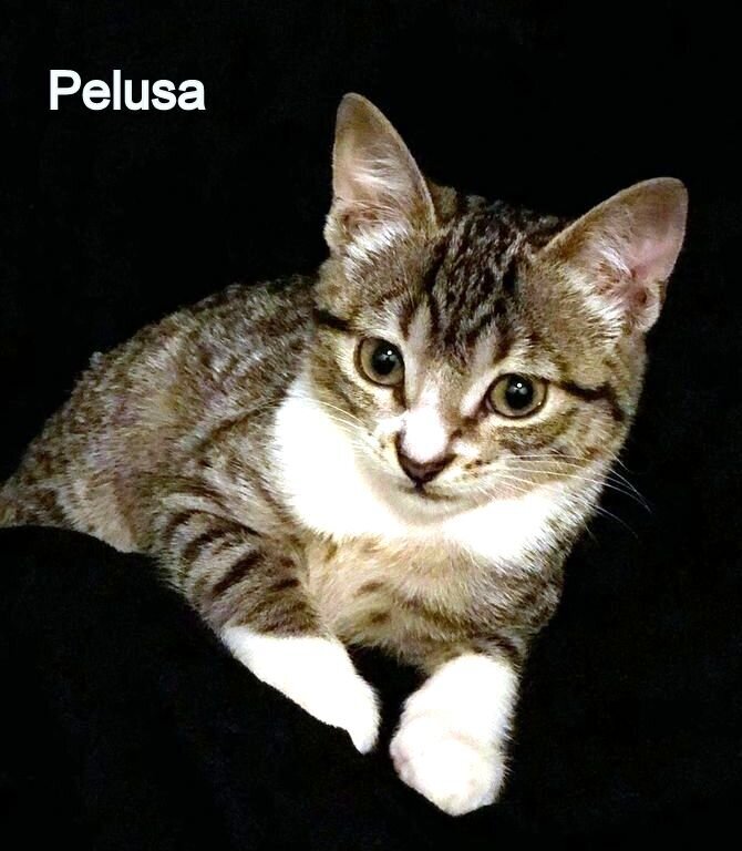 WhatsApp Image 2022-01-06 at 19.20.45-1