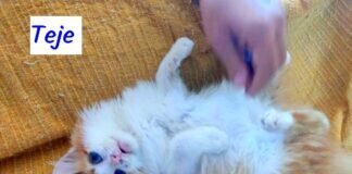 Wie Vater und Tochter! Schönes Zuhause gefunden!